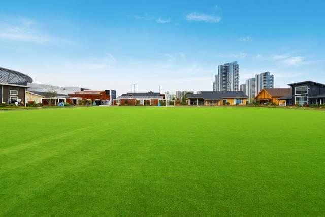 米乐m6人造草坪施工全揭秘：打造绿意盎然的户外空间新选择